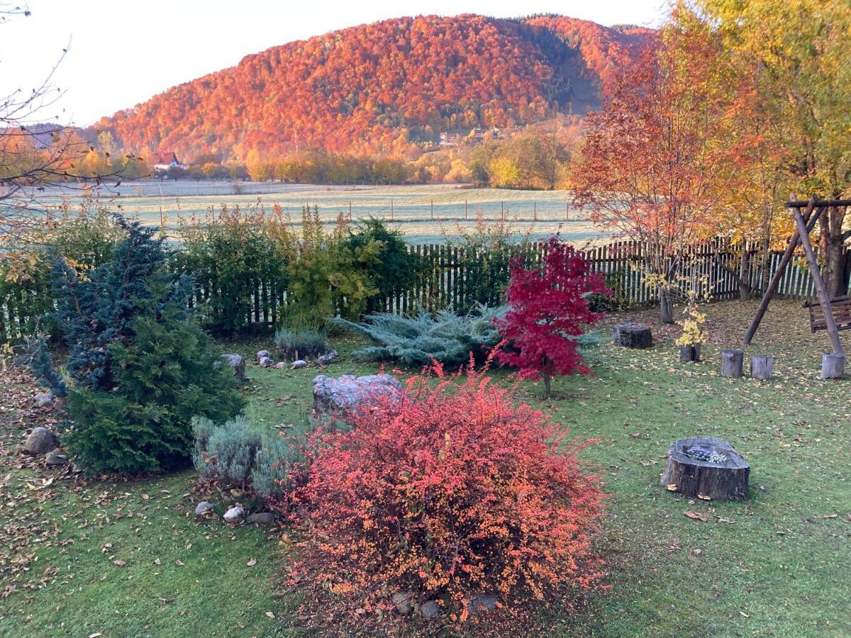 Pensiunea Aron 2 Bran  Bagian luar foto