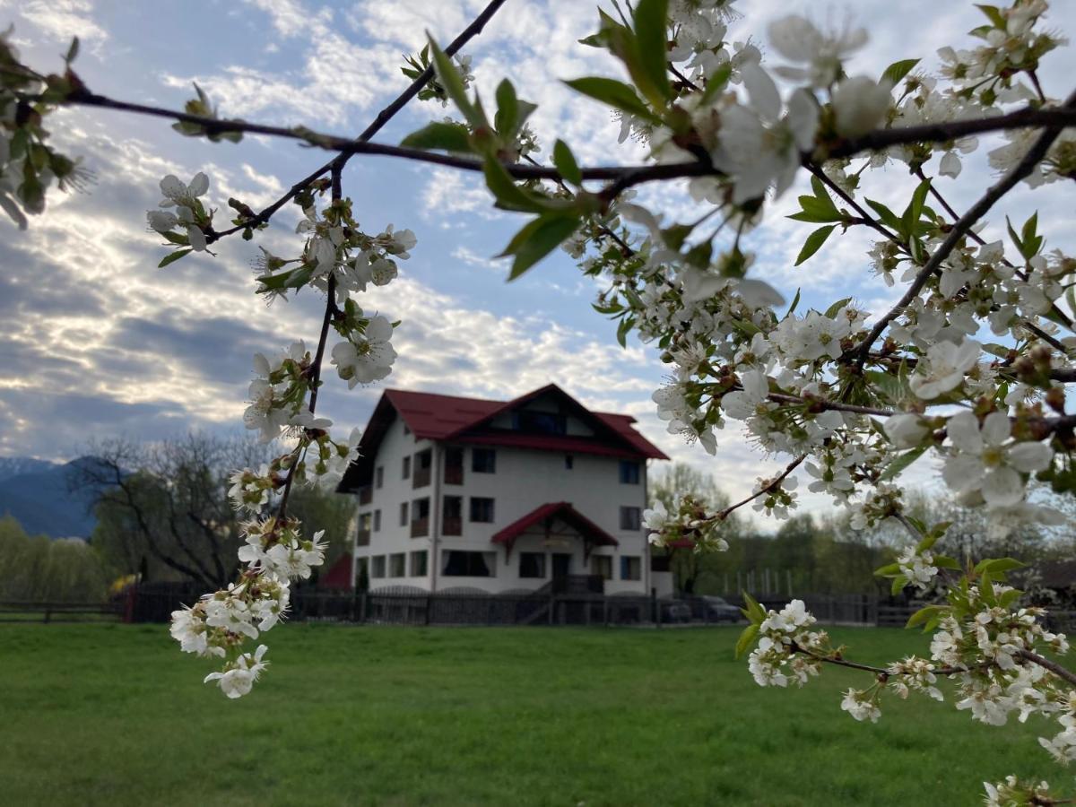 Pensiunea Aron 2 Bran  Bagian luar foto
