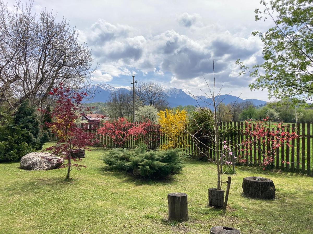Pensiunea Aron 2 Bran  Bagian luar foto