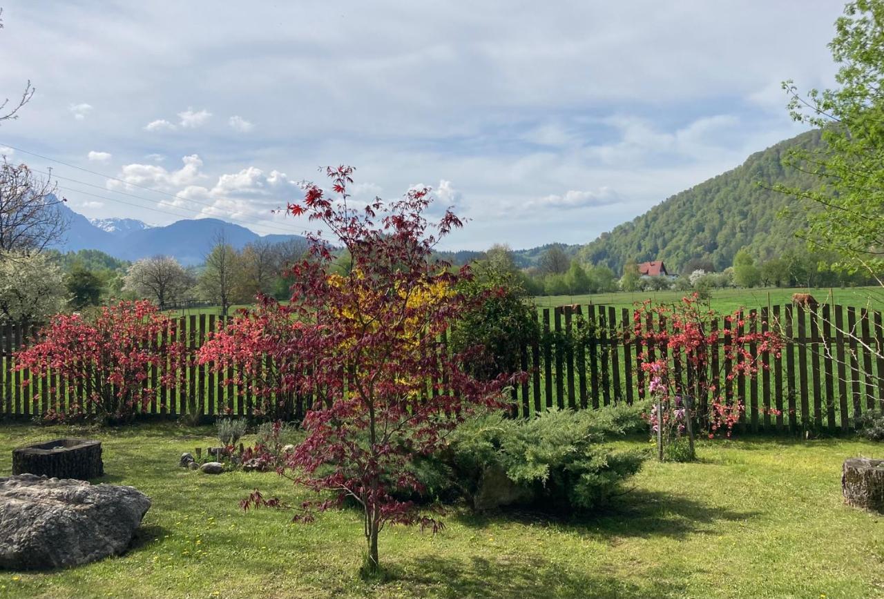 Pensiunea Aron 2 Bran  Bagian luar foto