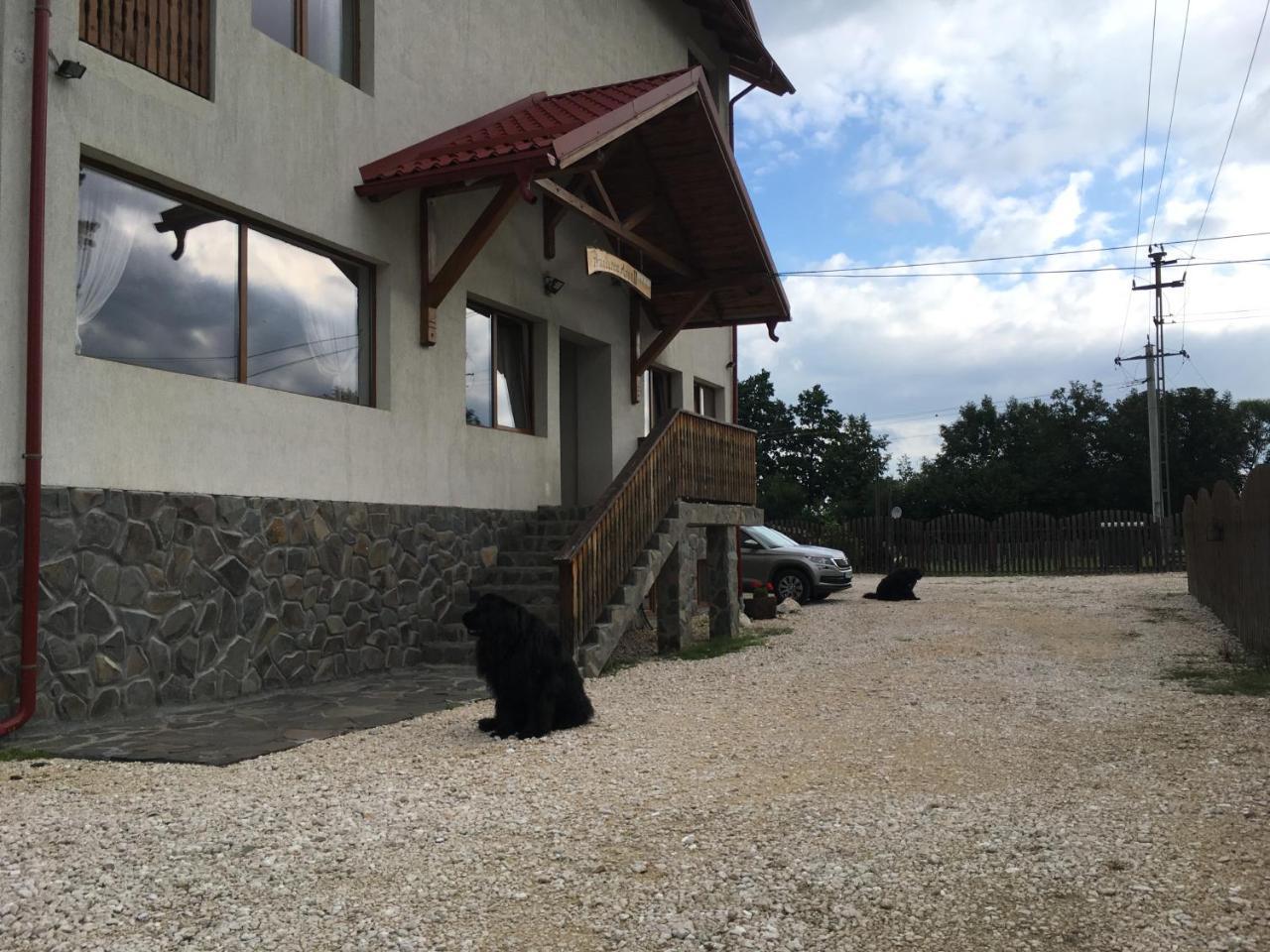 Pensiunea Aron 2 Bran  Bagian luar foto