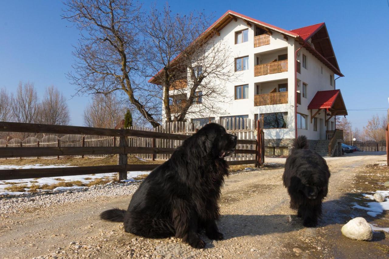 Pensiunea Aron 2 Bran  Bagian luar foto
