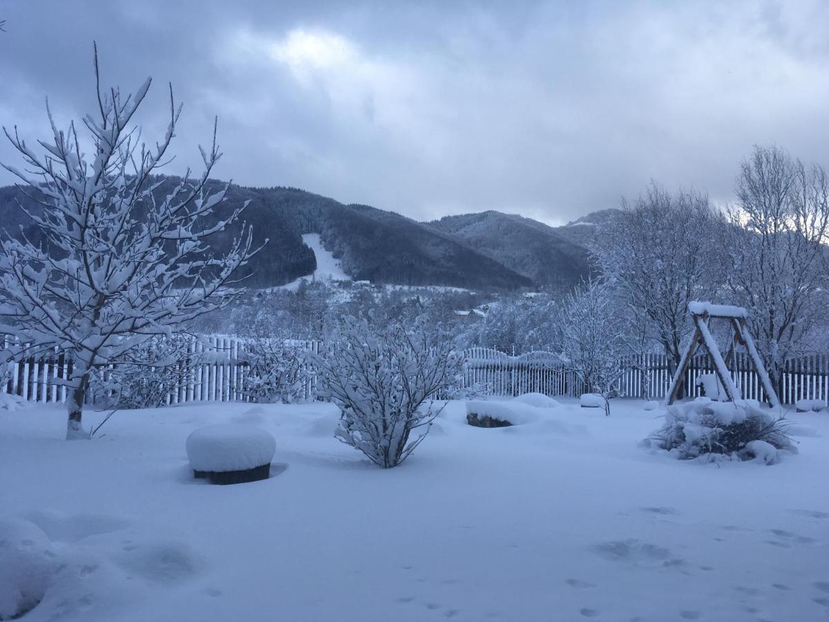 Pensiunea Aron 2 Bran  Bagian luar foto