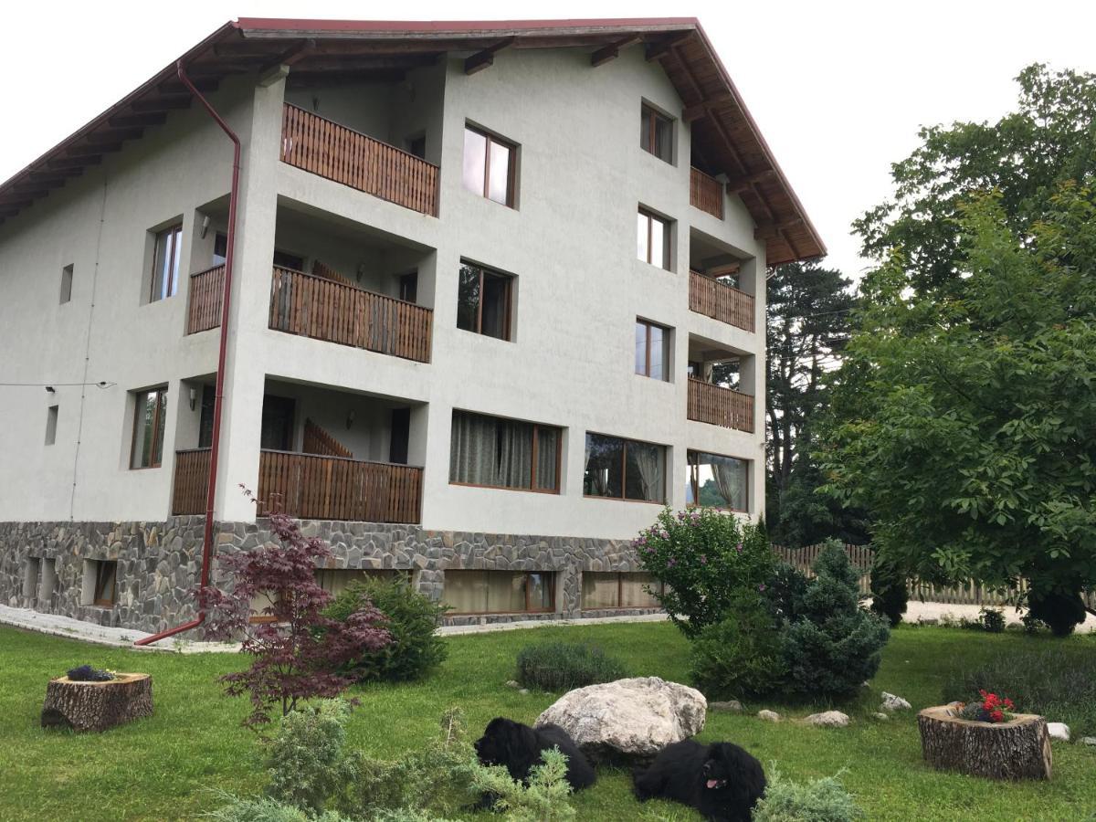 Pensiunea Aron 2 Bran  Bagian luar foto